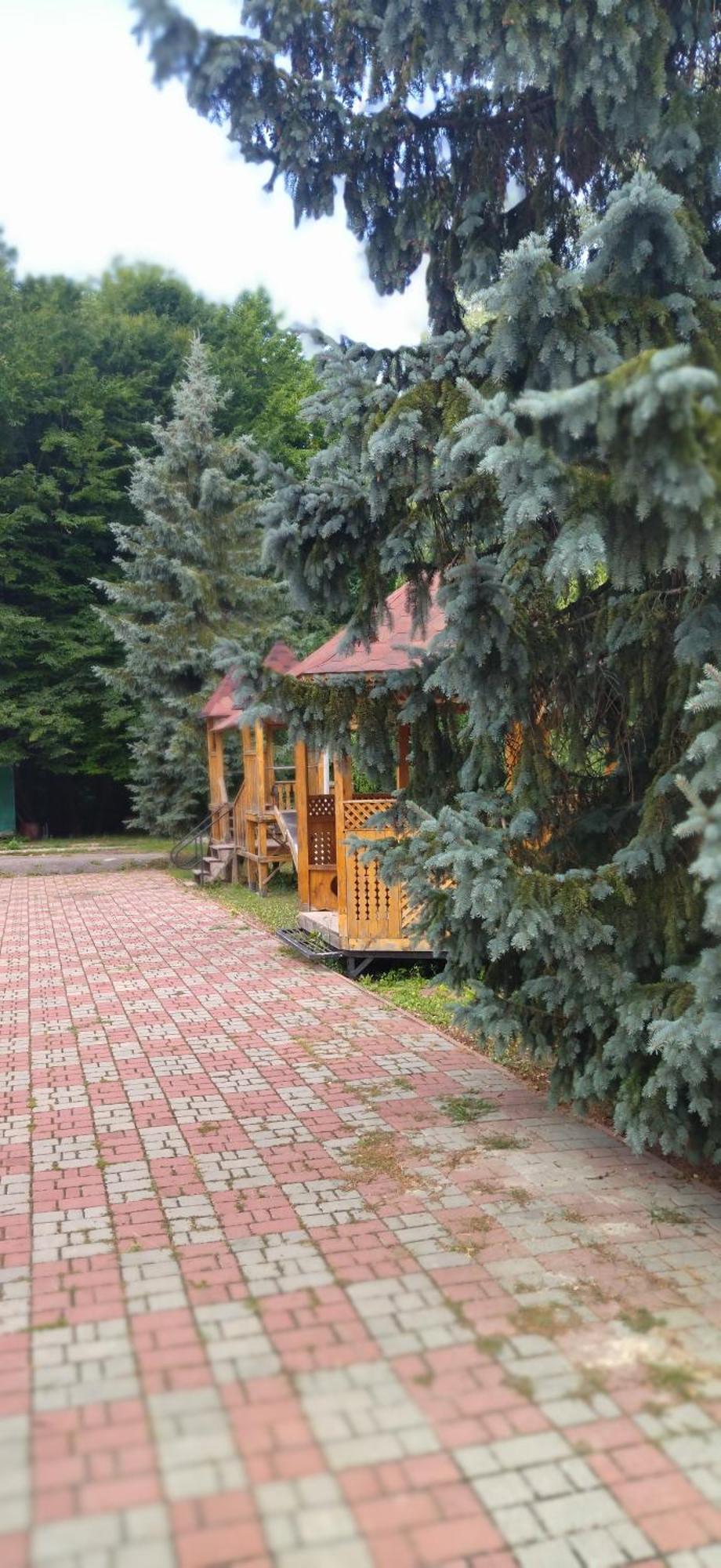 Санаторій Збруч Hotell Satanov Exteriör bild